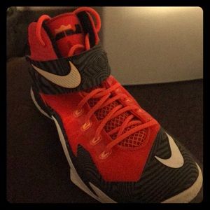 Nike LeBron shoes